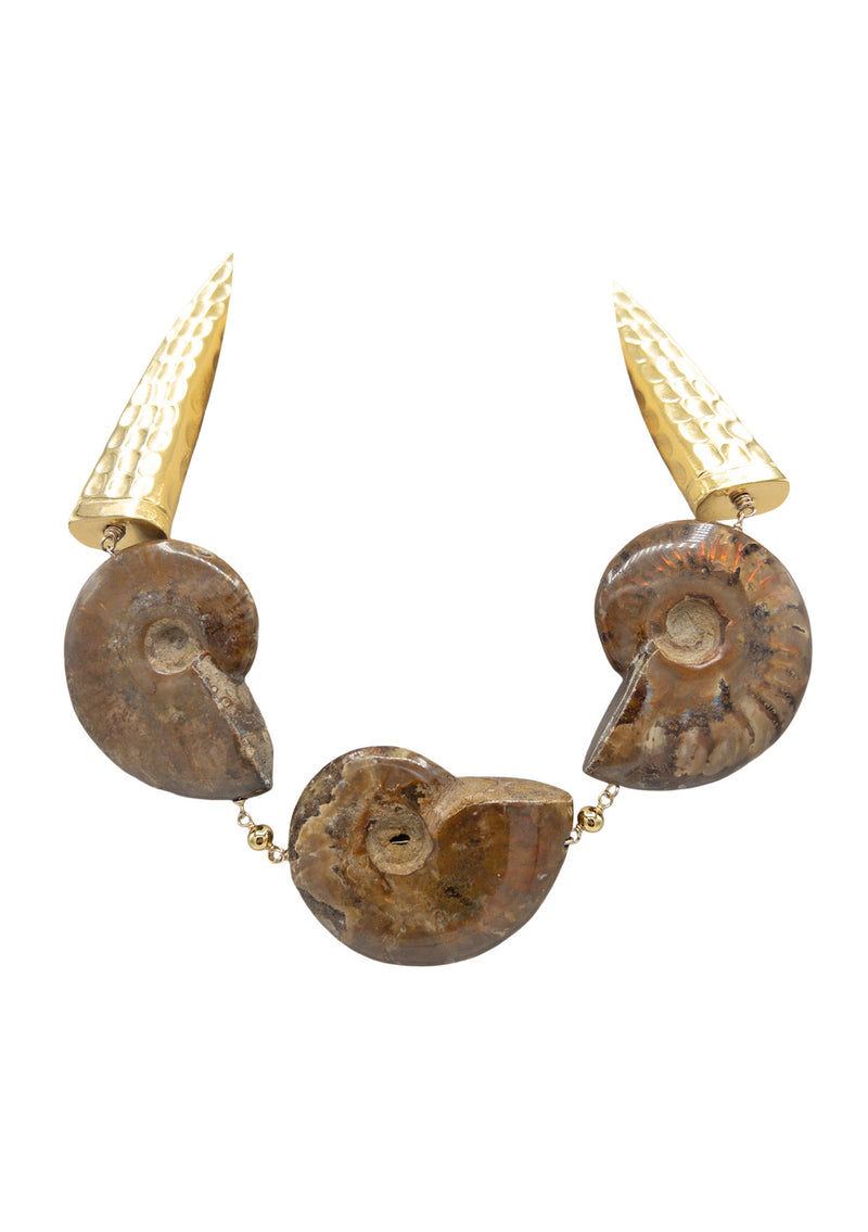 Ammonite Gold Accent Necklace