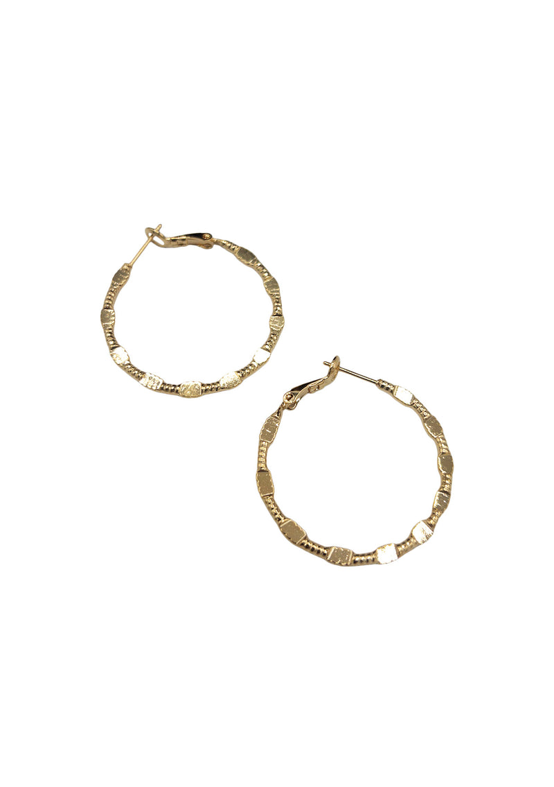 Small Gold Hoop Earrings