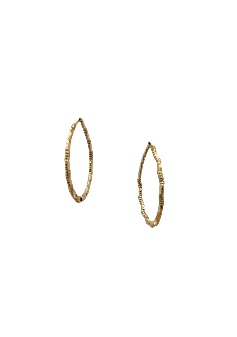 Small Gold Hoop Earrings