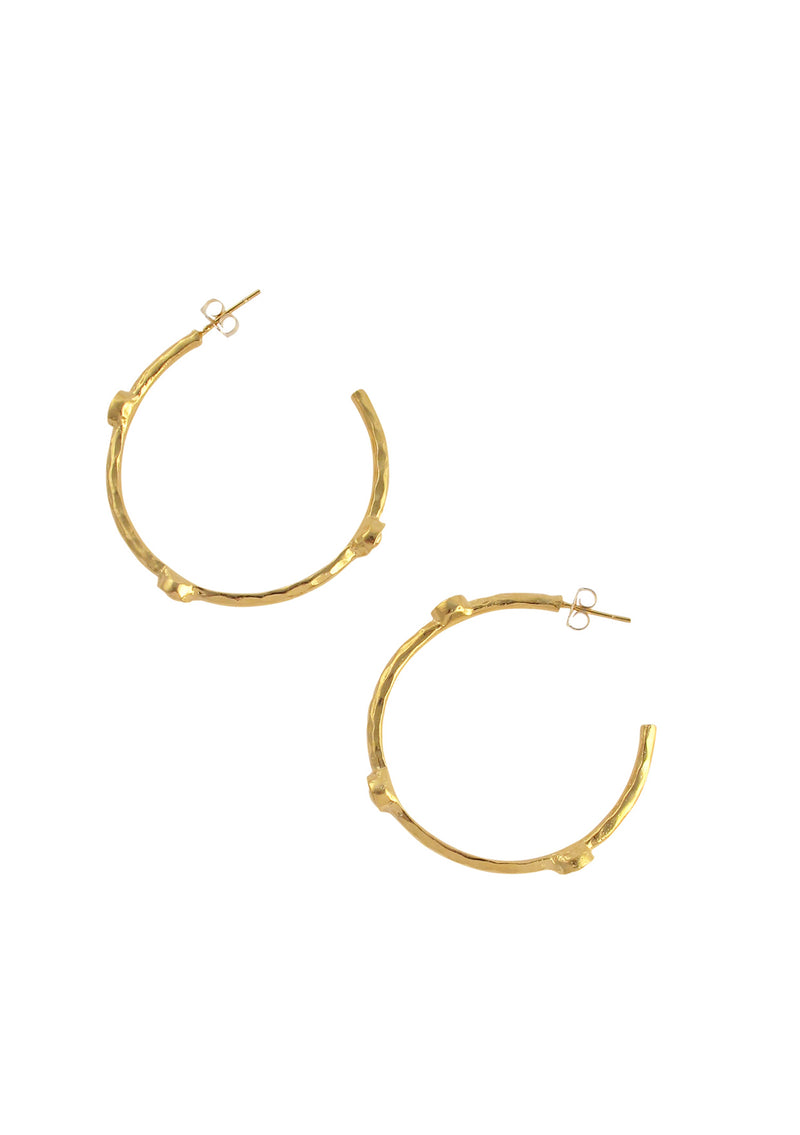 Gold Hoop Earrings