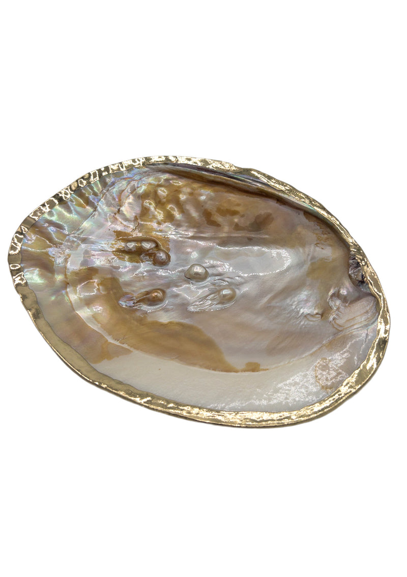 Small Mother of Pearl in Gold Foil Bowl